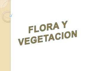 Diapositiva flora y fauna