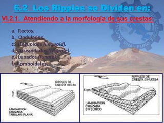 Cuspate Ripples Diapositiva geomorfologia eolica 1 | PPTX