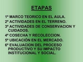 ETAPAS
1º MARCO TEORICO EN EL AULA.
2º ACTIVIDADES EN EL TERRENO.
3º ACTIVIDADES DE CONSERVACION Y
  CUIDADOS.
4º COSECHA Y RECOLECCION.
5º UBICACIÓN EN EL MERCADO.
6º EVALUACION DEL PROCESO
  PRODUCTIVO Y SU IMPACTO
  INSTITUCIONAL Y SOCIAL.
 