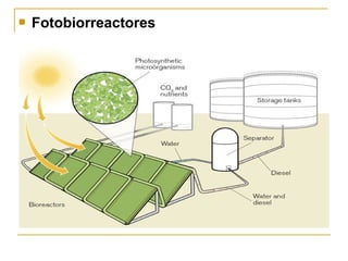    Fotobiorreactores
 