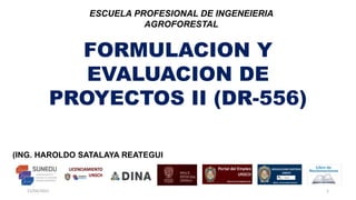 FORMULACION Y
EVALUACION DE
PROYECTOS II (DR-556)
(ING. HAROLDO SATALAYA REATEGUI
ESCUELA PROFESIONAL DE INGENEIERIA
AGROFORESTAL
15/04/2022 1
 