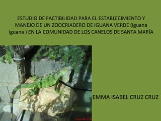 ESTUDIO DE FACTIBILIDAD PARA EL ESTABLECIMIENTO Y MANEJO DE UN ZOOCRIADERO DE IGUANA VERDE (Iguana iguana ) EN LA COMUNIDAD DE LOS CANELOS DE SANTA MARÍA EMMA ISABEL CRUZ CRUZ 