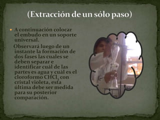  separe en dos vasos por pociones iguales de      15 ml.