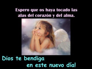 Espero que os haya tocado las alas del corazón y del alma. Dios te bendiga  en este nuevo día! 