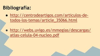 Bibliografía: 
● http://centrodeartigos.com/articulos-de-todos- 
los-temas/article_35066.html 
● http://webs.uvigo.es/mmegias/descargas/ 
atlas-celula-04-nucleo.pdf 
 