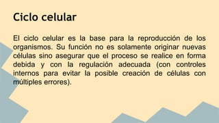 Ciclo celular 
El ciclo celular es la base para la reproducción de los 
organismos. Su función no es solamente originar nuevas 
células sino asegurar que el proceso se realice en forma 
debida y con la regulación adecuada (con controles 
internos para evitar la posible creación de células con 
múltiples errores). 
 