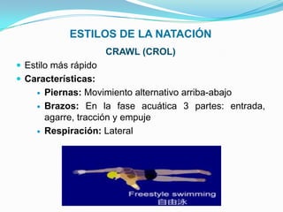 ESTILOS DE LA NATACIÓN
                      CRAWL (CROL)
 Estilo más rápido
 Características:
       Piernas: Movimiento alternativo arriba-abajo
       Brazos: En la fase acuática 3 partes: entrada,
        agarre, tracción y empuje
       Respiración: Lateral
 