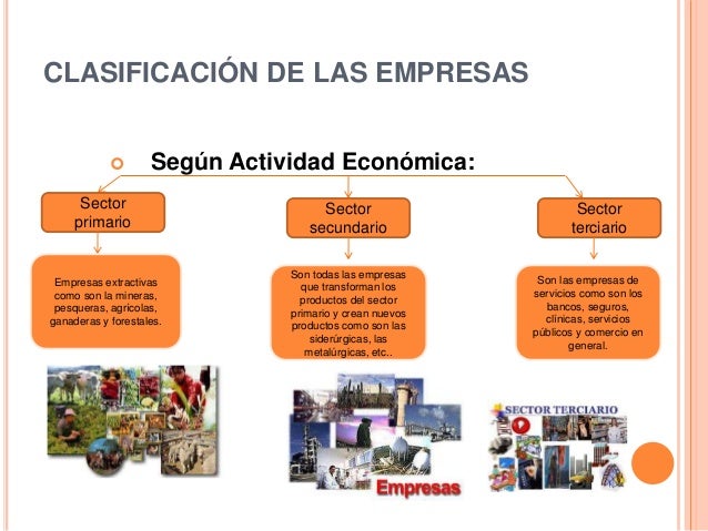 Clasificacion De Las Empresas Segun Su Actividad By V - vrogue.co