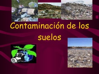Contaminación de los suelos 