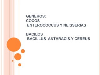 GENEROS:
COCOS
ENTEROCOCCUS Y NEISSERIAS
BACILOS
BACILLUS ANTHRACIS Y CEREUS
 