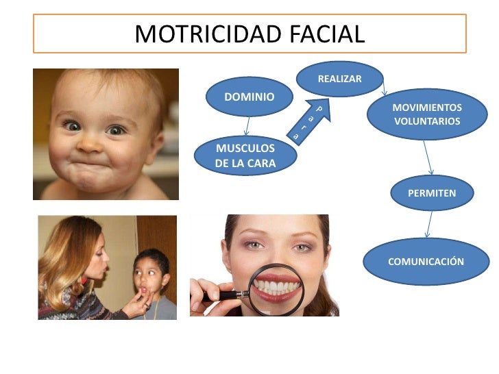 Resultado de imagen para motricidad gestual