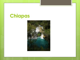 Chiapas
 