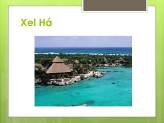 Xel Há
 
