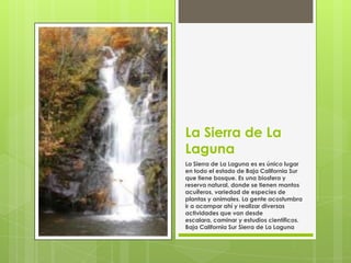 La Sierra de La
Laguna
La Sierra de La Laguna es es único lugar
en todo el estado de Baja California Sur
que tiene bosque. Es una biosfera y
reserva natural, donde se tienen mantos
acuíferos, variedad de especies de
plantas y animales. La gente acostumbra
ir a acampar ahí y realizar diversas
actividades que van desde
escalara, caminar y estudios científicos.
Baja California Sur Sierra de La Laguna
 