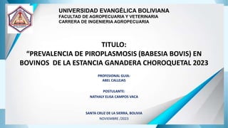 TITULO:
“PREVALENCIA DE PIROPLASMOSIS (BABESIA BOVIS) EN
BOVINOS DE LA ESTANCIA GANADERA CHOROQUETAL 2023
PROFESIONAL GUIA:
ABEL CALLEJAS
POSTULANTE:
NATHALY ELISA CAMPOS VACA
SANTA CRUZ DE LA SIERRA, BOLIVIA
NOVIEMBRE /2023
UNIVERSIDAD EVANGÉLICA BOLIVIANA
FACULTAD DE AGROPECUARIA Y VETERINARIA
CARRERA DE INGENIERIA AGROPECUARIA
 