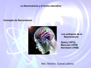 La Neurociencia y el hecho educativo




Concepto de Neurociencia.




                                                     Los enfoques de la
                                                       Neurociencia:

                                                 Sperry (1973),
                                                 MacLean (1978)
                                                 Herrmann (1989).




                                MsC. Brenda L Cuevas Labarca
 