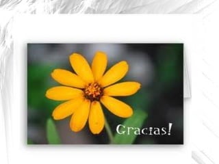 Diapositiva  numero 2