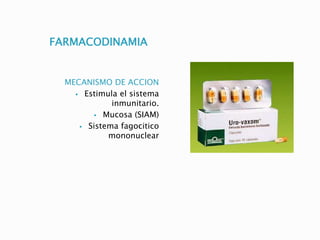 FARMACODINAMIA
MECANISMO DE ACCION
 Estimula el sistema
inmunitario.
 Mucosa (SIAM)
 Sistema fagocitico
mononuclear
 
