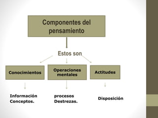 Componentes del
pensamiento
Estos son
Conocimientos
Operaciones
mentales
Actitudes
Información
Conceptos.
procesos
Destrezas.
Disposición
 