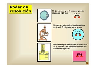 Poder de
resolución   El ojo humano puede separar puntos
             distantes 0.25 mm      0.25 mm




             El microscopio óptico puede separar
             puntos de 0.25 µm de separacíón

                                       0.25 µm




             El microscopio electrónico puede sepa-
             rar puntos de una distancia inferior a 5
             unidades Angstrom.

                                          5A
 