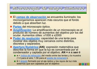 Microscopio de ca mpo luminoso
! El campo de observación se encuentra iluminado; los
  microorganismos aparecen más oscuros que el fondo
  debido a que absorben luz.
! Partes del microscopio óptico.
! Amplificación: La amplificación de un microscopio es el
  producto de número de aumentos del objetivo por los del
  ocular. Aumentos útiles: x1000 a x2000
! Poder de resolución: capacidad de una lente para
  mostrar dos objetos muy cercanos como distintos,
  discretos y separados.
! Apertura Numérica (AN): expresión matemática que
  describe la forma en que la luz es concentrada por el
  condensador y captada por el objetivo. AN = n x sen θ
   s   n = índice de refracción del medio entre las lentes y la muestra
       (1.0 para el aire; 1.56 para el aceite de inmersión).
   s   θ = ángulo formado por el eje óptico y los rayos de luz más
       externos que son captados por el objetivo
 