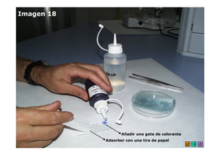 Imagen 18




                   Añadir una gota de colorante
            Adsorber con una tira de papel
 