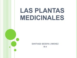 LAS PLANTAS MEDICINALES SANTIAGO BEDOYA JIMENEZ 8-A 