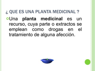 ¿ QUE ES UNA PLANTA MEDICINAL ? Una  planta medicinal  es un recurso, cuya parte o extractos se emplean como drogas en el tratamiento de alguna afección.  