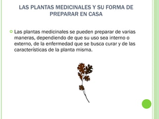 LAS PLANTAS MEDICINALES Y SU FORMA DE PREPARAR EN CASA Las plantas medicinales se pueden preparar de varias maneras, dependiendo de que su uso sea interno o externo, de la enfermedad que se busca curar y de las características de la planta misma. 