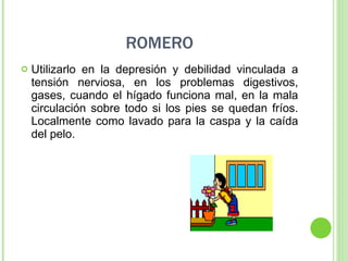 ROMERO Utilizarlo en la depresión y debilidad vinculada a tensión nerviosa, en los problemas digestivos, gases, cuando el hígado funciona mal, en la mala circulación sobre todo si los pies se quedan fríos. Localmente como lavado para la caspa y la caída del pelo. 