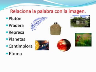 Plinio             completo     cantimplora    soplar