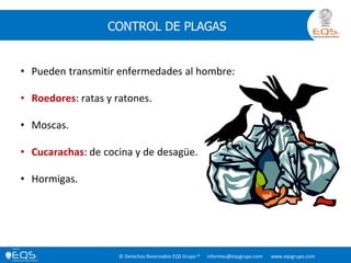 © Derechos Reservados EQS Grupo ® informes@eqsgrupo.com www.eqsgrupo.com
CONTROL DE PLAGAS
• Pueden transmitir enfermedades al hombre:
• Roedores: ratas y ratones.
• Moscas.
• Cucarachas: de cocina y de desagüe.
• Hormigas.
 
