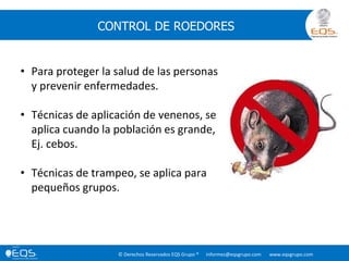 © Derechos Reservados EQS Grupo ® informes@eqsgrupo.com www.eqsgrupo.com
CONTROL DE ROEDORES
• Para proteger la salud de las personas
y prevenir enfermedades.
• Técnicas de aplicación de venenos, se
aplica cuando la población es grande,
Ej. cebos.
• Técnicas de trampeo, se aplica para
pequeños grupos.
 
