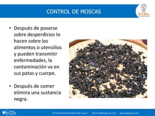 © Derechos Reservados EQS Grupo ® informes@eqsgrupo.com www.eqsgrupo.com
CONTROL DE MOSCAS
• Después de posarse
sobre desperdicios lo
hacen sobre los
alimentos o utensilios
y pueden transmitir
enfermedades, la
contaminación va en
sus patas y cuerpo.
• Después de comer
elimina una sustancia
negra.
 