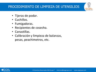 © Derechos Reservados EQS Grupo ® informes@eqsgrupo.com www.eqsgrupo.com
PROCEDIMIENTO DE LIMPIEZA DE UTENSILIOS
• Tijeras de podar.
• Cuchillos.
• Fumigadoras.
• Recipientes de cosecha.
• Canastillas.
• Calibración y limpieza de balanzas,
pesas, peachimetros, etc.
 