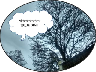 Mmmmmmm.
¡¡QUE DIA!!