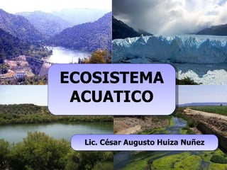 ECOSISTEMA ACUATICO Lic. César Augusto Huiza Nuñez 