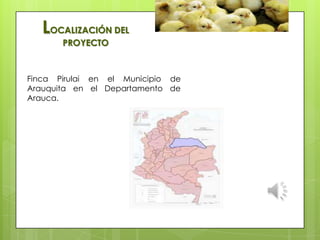Finca Pirulai en el Municipio de
Arauquita en el Departamento de
Arauca.
LOCALIZACIÓN DEL
PROYECTO
 