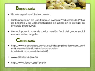 • http://www.coopcibao.com/web/index.php?option=com_cont
ent&view=article&id=68:criasa-de-pollos-
&catid=44:manuales&Itemid=83
• www.arauquita.gov.co
• http://www.fenavi.org/fenavi/
BIBLIOGRAFÍA
• Granja experimental el alcaraván.
• Implementación de una Empresa Avícola Productora de Pollos
de Engorde y su Comercialización en Canal en la ciudad de
Sincelejo-Sucre (2008)
• Manual para la cría de pollos versión final del grupo social
empresarial arcángeles.
CIBERGRAFIA
 