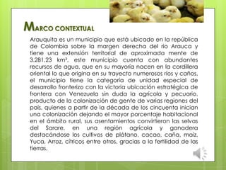 MARCO CONTEXTUAL
Arauquita es un municipio que está ubicado en la república
de Colombia sobre la margen derecha del rio Arauca y
tiene una extensión territorial de aproximada mente de
3.281,23 km², este municipio cuenta con abundantes
recursos de agua, que en su mayoría nacen en la cordillera
oriental lo que origina en su trayecto numerosos ríos y caños,
el municipio tiene la categoría de unidad especial de
desarrollo fronterizo con la victoria ubicación estratégica de
frontera con Venezuela sin duda la agrícola y pecuario,
producto de la colonización de gente de varias regiones del
país, quienes a partir de la década de los cincuenta inician
una colonización dejando el mayor porcentaje habitacional
en el ámbito rural, sus asentamientos convirtieron las selvas
del Sarare, en una región agrícola y ganadera
destacándose los cultivos de plátano, cacao, caña, maíz,
Yuca, Arroz, cítricos entre otros, gracias a la fertilidad de las
tierras.
 