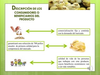 comercialización fija y continúa
con la demanda del mercado.
calidad de vida de las personas
que trabajan con este producto,
cuyos beneficios económicos van
a ser más rentables.
garantizará una selección de 700 pollos
anuales de primera calidad para la
competencia del mercado.
DESCRIPCIÓN DE LOS
CONSUMIDORES O
BENEFICIARIOS DEL
PRODUCTO
 
