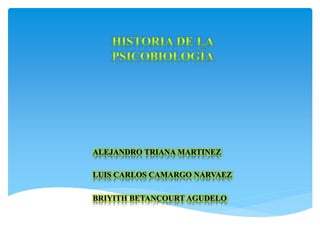 BRIYITH BETANCOURT AGUDELO
ALEJANDRO TRIANA MARTINEZ
LUIS CARLOS CAMARGO NARVAEZ
 