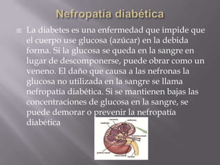    La diabetes es una enfermedad que impide que
    el cuerpo use glucosa (azúcar) en la debida
    forma. Si la glucosa se queda en la sangre en
    lugar de descomponerse, puede obrar como un
    veneno. El daño que causa a las nefronas la
    glucosa no utilizada en la sangre se llama
    nefropatía diabética. Si se mantienen bajas las
    concentraciones de glucosa en la sangre, se
    puede demorar o prevenir la nefropatía
    diabética
 