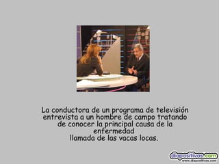 La conductora de un programa de televisión entrevista a un hombre de campo tratando de conocer la principal causa de la enfermedad  llamada de las vacas locas.  