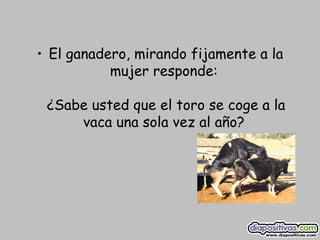 El ganadero, mirando fijamente a la mujer responde:  ¿Sabe usted que el toro se coge a la vaca una sola vez al año?  
