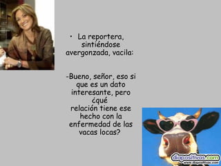 La reportera, sintiéndose avergonzada, vacila:  -Bueno, señor, eso si que es un dato interesante, pero ¿qué  relación tiene ese hecho con la enfermedad de las vacas locas?  