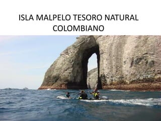 ISLA MALPELO TESORO NATURAL COLOMBIANO 