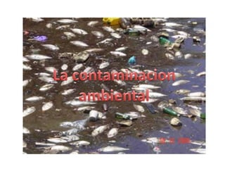 La contaminacion ambiental 