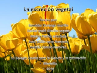 DIAPOSITIVAS EXCRECIÓN VEGETAL