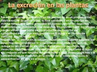 Por varias razones, la excreción en las plantas no es un problema de
difícil solución. En primer lugar, la tasa catabólica en las plantas es
mucho menor que en los animales; en consecuencia, los desechos
metabólicos se almacenan más despacio. En segundo lugar, las plantas
verdes utilizan gran parte de los productos de desecho del
catabolismo en sus procesos anabólicos. El agua y el Dióxido de
carbono, productos de la
respiración, se utilizan en la fotosíntesis; las plantas pueden emplear los
desechos nitrogenados en la síntesis de nuevas proteínas, lo cual
reduce su necesidad de excreción. En las plantas acuáticas, los
desechos metabólicos se difunden libremente del citoplasma al agua
circundante ya que ninguna célula se halla a gran distancia de ésta y la
concentración de desechos en el interior de la célula sobrepasa la
concentración de ésta en el agua.
 